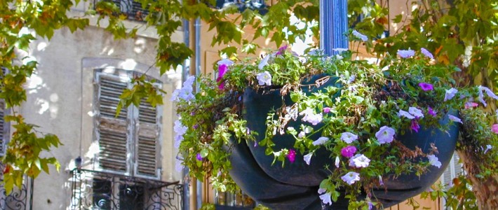 Aix-en-Provence Flower Basket